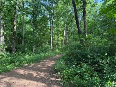 Chapman Mountain Nature Preserve