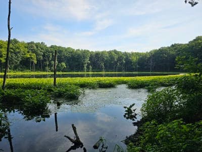 Chain O’ Lakes State Park