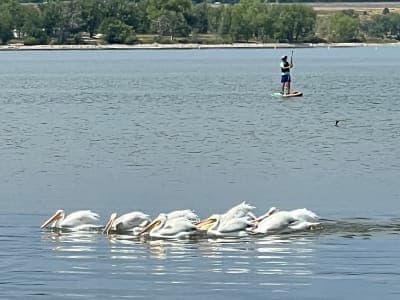 Cherry Creek State Park