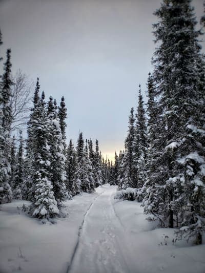 Chena River State Recreation Area