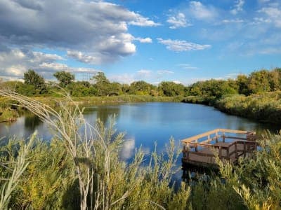 Chatfield State Park
