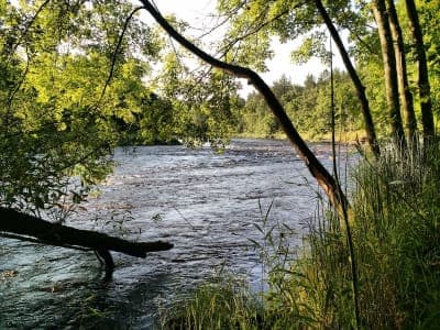 Chengwatana State Forest