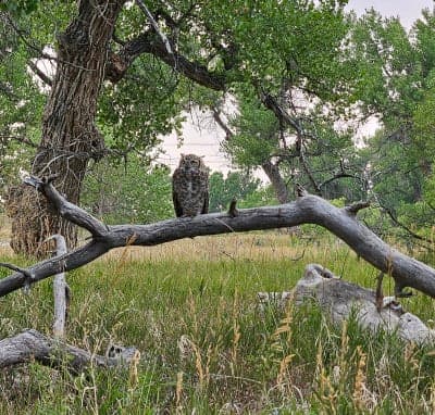 Cherry Creek Trail system