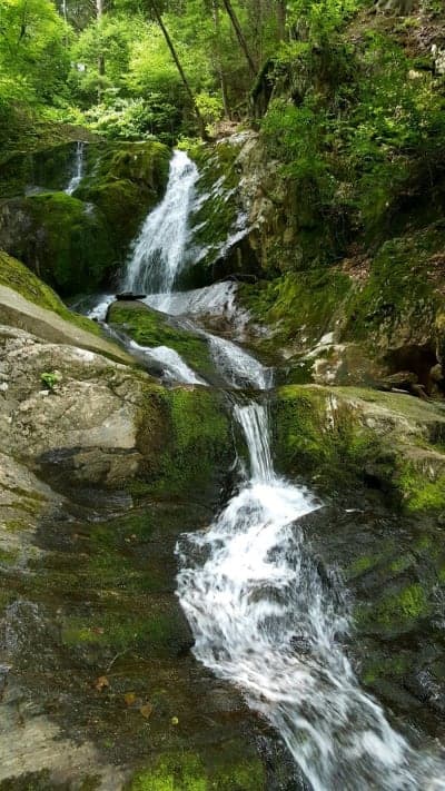 Chester-Blandford State Forest