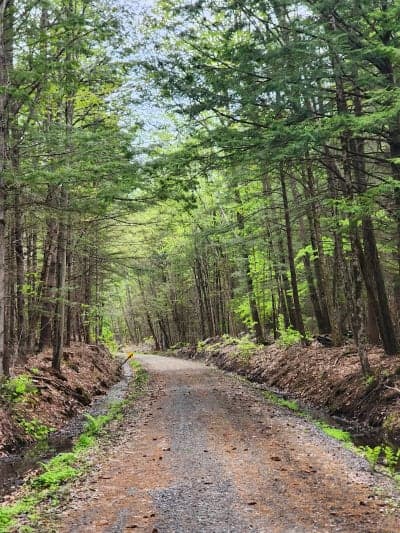 Cheshire Recreational Rail Trail