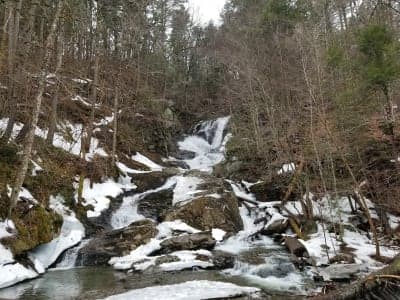 Chester-Blandford State Forest