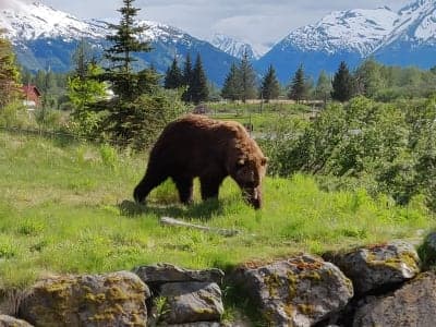 Chugach National Forest