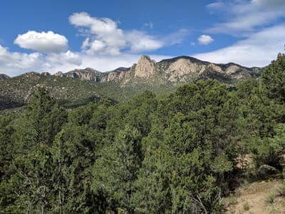 Cibola National Forest
