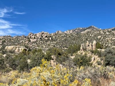 Cibola National Forest