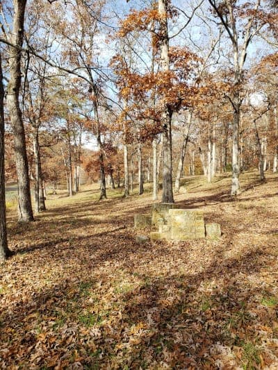Clark State Forest