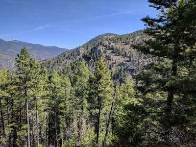 Cimarron Canyon State Park