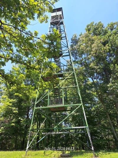 Clark State Forest