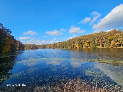 Clark State Forest