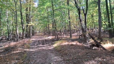 Clay Pit Ponds State Park Preserve