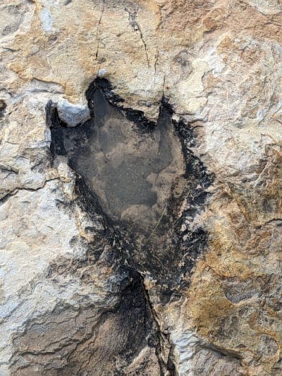 Clayton Lake State Park and Dinosaur Trackways