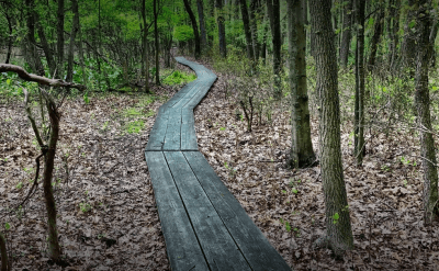 Clay Pit Ponds State Park Preserve