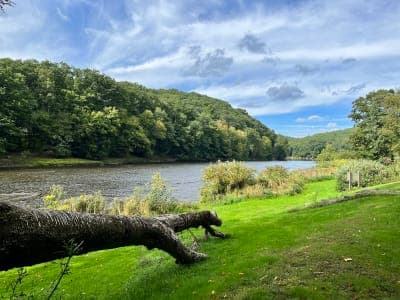 Clear Creek State Forest