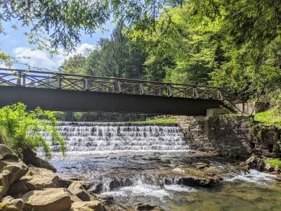 Clear Creek State Forest