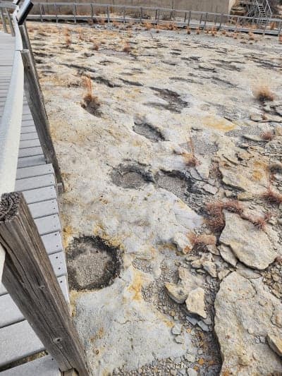 Clayton Lake State Park and Dinosaur Trackways
