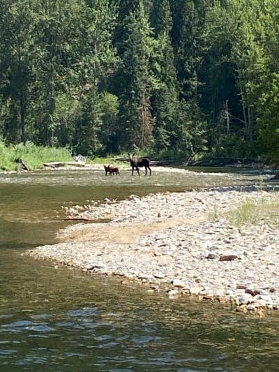Clearwater Crossing Campground