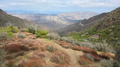 Cleveland National Forest