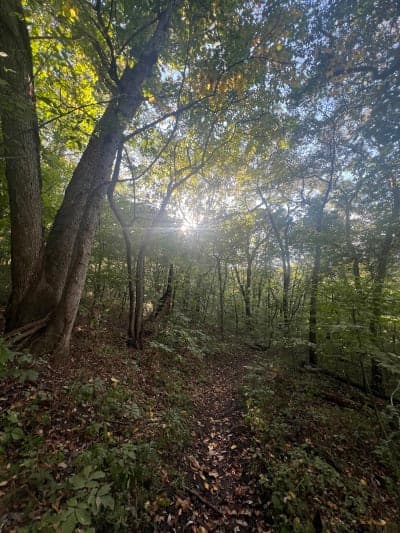 Clinton Lake / Rockhaven Park Campground & South Shore Trails