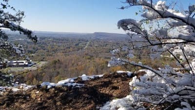 Cockaponset State Forest