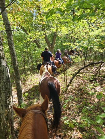 Clinton Lake / Rockhaven Park Campground & South Shore Trails