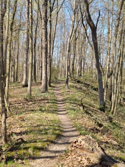 Clinton Lake State Recreation Area
