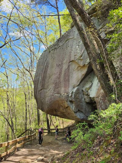 Cloudland Canyon State Park