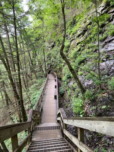 Cloudland Canyon State Park