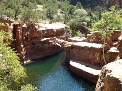 Coconino National Forest