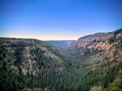 Coconino National Forest