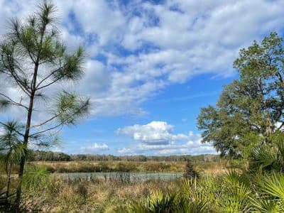 Colt Creek State Park
