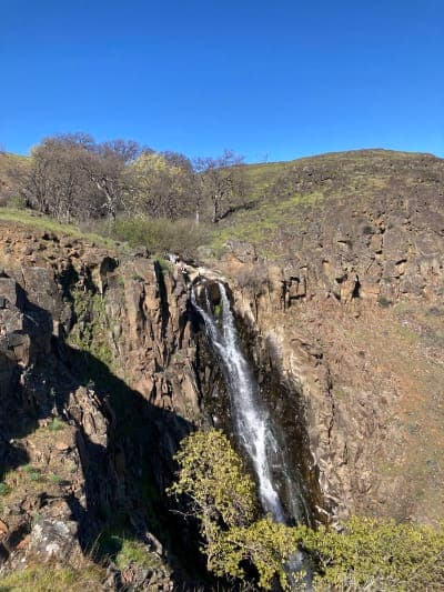 Columbia Hills Historical State Park
