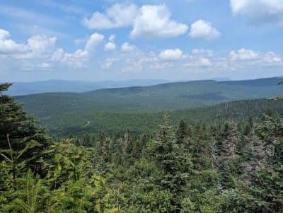 Connecticut Lakes Headwaters Working Forest