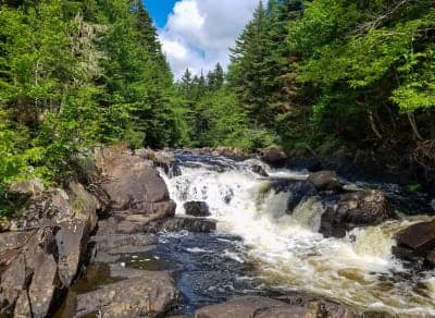Connecticut Lakes Headwaters Working Forest