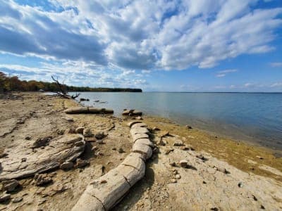 Cooper State Park (South Sulphur Unit)