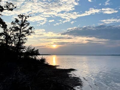 Cooper State Park (South Sulphur Unit)