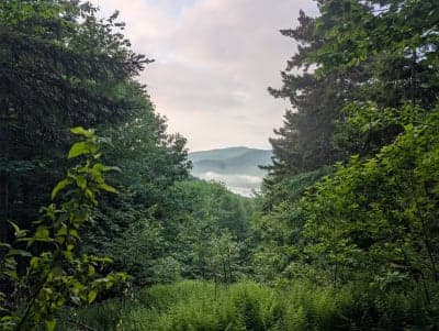 Coolidge State Park