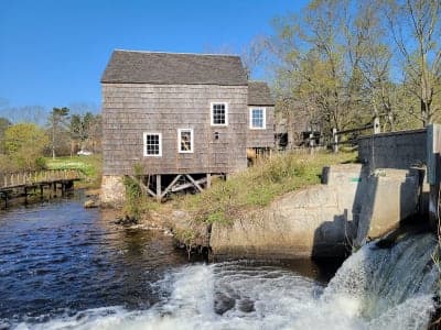 Connetquot River State Park Preserve