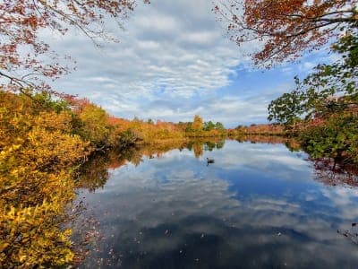 Connetquot River State Park Preserve