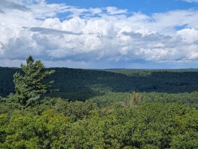 Cook Forest State Park