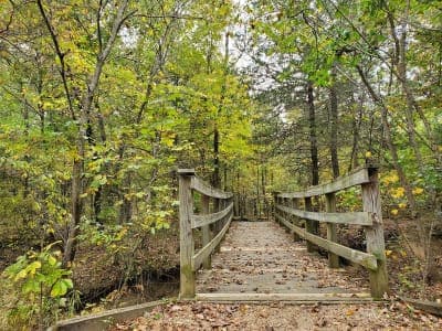 Cooper State Park (South Sulphur Unit)