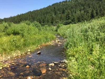 Coyote Creek State Park