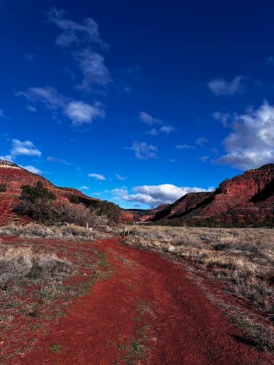 Cottonwood Trail