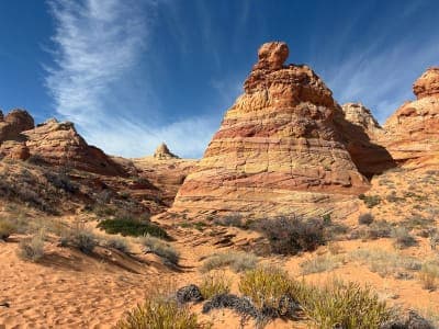 Cottonwood Trail