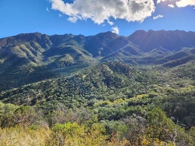 Coronado National Forest