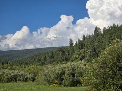 Coyote Creek State Park