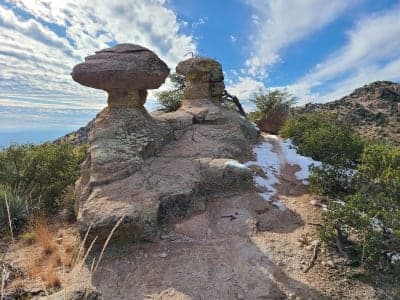 Coronado National Forest